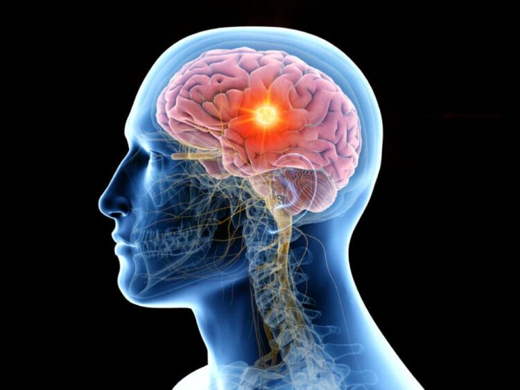 La importancia de desarrollar un segundo cerebro