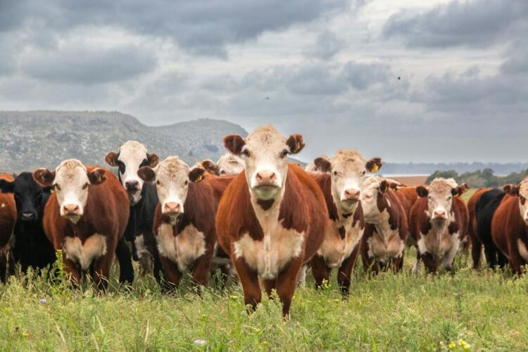 Revoluciona tu Agricultura: La Mejor Tecnología para el Campo en 2022