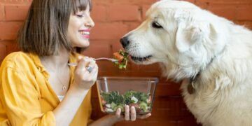 Mi perro comió algo peligroso: pasos para actuar de inmediato